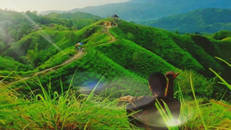 Aceh Selatan, Surga Tersembunyi di Ujung Sumatera
