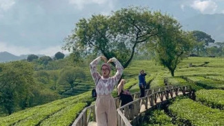 Alam Hijau: Wisata Kebun Teh di Indonesia yang Menenangkan Jiwa