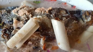 Lebih dari Sekadar Rasa: Mengungkap Kekayaan Kuliner Tapanuli Selatan yang Jarang Tersentuh