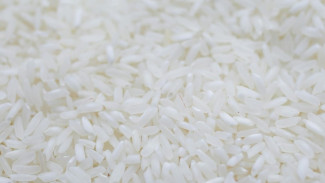 5 Cara Mudah Menghilangkan Kutu Beras