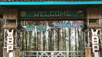 Menjelajahi Keindahan Bukit Pinus Wonosalam: Destinasi Wisata Alam yang Menakjubkan
