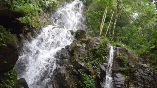 Jelajahi Pesona Air Terjun Sanggar: Destinasi Ideal untuk Liburan Bersama Keluarga!