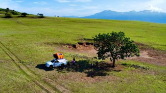 Padang Savana Mausui : Surga Tersembunyi di Indonesia Timur