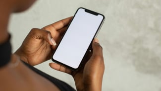 Article