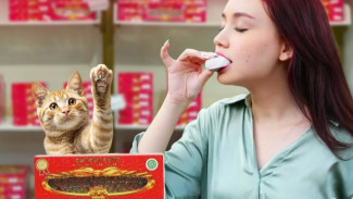 Wisata Kuliner Semarang 2025: Top 5 Pusat Oleh Oleh Paling Murah dan Hits yang Buka Sekarang!