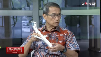 Captain Hanafi Herlim Ungkap Detail Terbaru Jatuhnya Pesawat Jeju Air