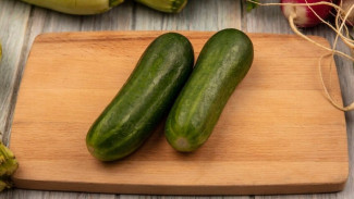 Makanan Kaya Air untuk Menjaga Hidrasi Tubuh Sepanjang Hari