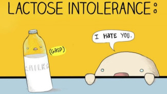 Penyebab, Gejala Intoleransi Laktosa Dan Cara Mengatasinya