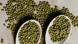 Kacang Hijau: Si Kecil dengan Sejuta Manfaat untuk Kesehatan