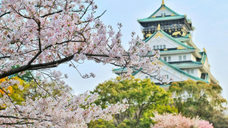 100 Kosakata dalam Bahasa Jepang yang Perlu Kamu Ketahui Sebagai Pemula