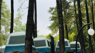 Qorqinchli porno videolar