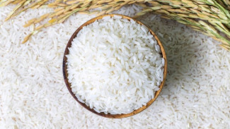 Rahasia Beras yang Jarang Diketahui! 4 Manfaat Luar Biasa untuk Kecantikan & Kehidupan Sehari-hari