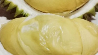 Hati-Hati! Ini 5 Buah yang Sebaiknya Dihindari Saat Berbuka Puasa