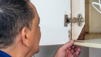 Lemari Bebas Rayap: Cara Ampuh Mencegah dan Mengatasinya