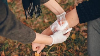 Article