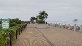 Cara Pergi ke Pantai Indah Kapuk dengan Transportasi Umum