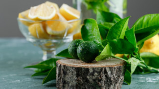 Tips Praktis Menjaga Kesegaran Daun Jeruk, Metode Penyimpanan Efektif untuk Dapur Anda