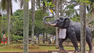 Sejarah Singkat Kebun Binatang Ragunan yang Perlu Kamu Ketahui