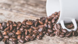 Minum Kopi Tiap Hari Ternyata Berbahaya, Akibatnya Organ Tubuh Ini Bisa Hilang! Benarkah?