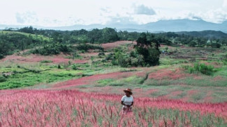 Destinasi Wisata di Papua yang Bikin Kamu Serasa di Isekai, No. 1 Mendunia Banget!