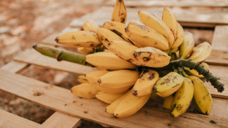 Bingung Mau Olah Pisang Apa? Ini 7 Jenis Pisang di Indonesia dan Cara Paling Enak Menikmatinya!