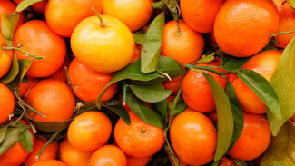 Suka Makan Jeruk? Cek 4 Manfaat Jeruk untuk Kesehatan Ini