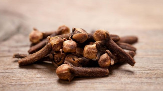 Bikin Serangga Kapok, 10 Bahan Alami dari Dapur yang Bisa Kamu Andalkan, Mantul!