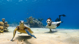 Menjelajah Surga Bawah Laut! Inilah 8 Destinasi Wisata Laut Indonesia yang Memukau