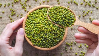 Hemat Gas! Ini Cara Rebus Kacang Hijau Cepat Empuk dan Tetap Lezat