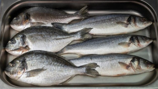 Biar Kulkas Nggak Amis! Ini 7 Cara Simpan Ikan Biar Tetap Segar & Bebas Bau!