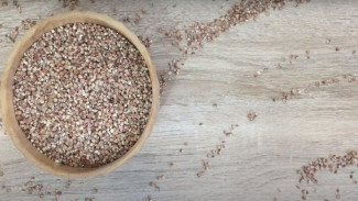 Inovasi Diet Sehat,  Ini 5 Tips Strategi Jitu Masak Sorgum Jadi Nasi Pulen Tanpa Ragu