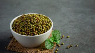 Resep Mudah Membuat Bubur Kacang Hijau, Cemililan Enak Kaya Nutrisi