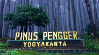 5 Rekomendasi Wisata Hutan Pinus Jogja untuk Liburan
