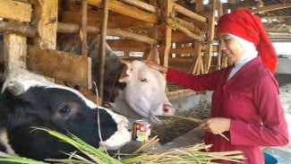 Mau Berqurban? Simak 3 Tips Memilih Hewan Kurban Disini