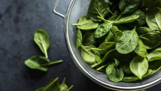 5 Manfaat Magnesium dan Sumber Alaminya, Penting untuk Kesehatan Tubuh!