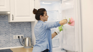 Tips Praktis Membersihkan Freezer Box di Rumah agar Tetap Higienis dan Awet