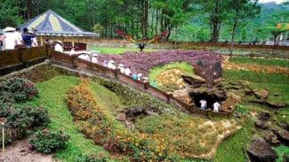 Menjelajahi Keindahan Goa Lawa Eksotisme Alam dan Sejarah di Purbalingga