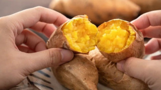 5 Manfaat Ubi Cilembu untuk Kesehatan