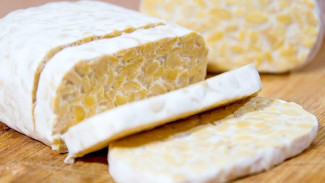 Cara Mudah Membuat Tempe Sendiri di Rumah Tanpa Gagal