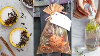 Cara Bikin Pewangi Ruangan Alami dengan Bahan Dapur