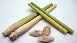 5 Tanaman yang Bikin Aroma Masakan Lebih Harum