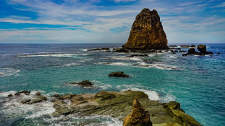 Bukan Hanya Gunung Argopuro! Ini 5 Tempat Wisata di Jember yang Menarik Dikunjungi