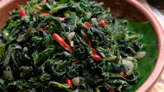 Tips dan Cara Memasak yang Benar Masakan Daun Pepaya Agar Tidak Pahit