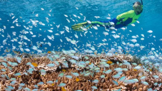 5 Taman Nasional Laut di Sulawesi Wajib Dikunjungi Bagi Pecinta Snorkeling!