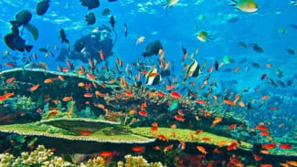 Deretan Wisata di Banda Neira, Surga Tersembunyi di Maluku yang Wajib Kamu Kunjungi