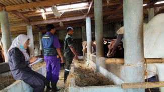 Pemkab Purbalingga Pastikan Kesehatan Hewan Qurban Jelang Idul Adha 1446 H