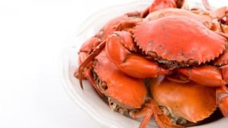 Kepiting Segar, Rasa Mewah! Begini Cara Bersihinnya Tanpa Drama