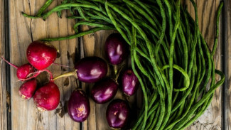 Khasiat Tersembunyi Kacang Panjang, Superfood Lokal yang Terlupakan