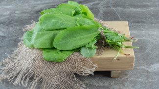 Bosan Dengan Rebusan Bayam? Resep Simple Plecing Bayam Wajib Dicoba, Pemula Juga Bisa!