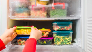 Tips Menyimpan Makanan di Kulkas agar Tidak Cepat Basi